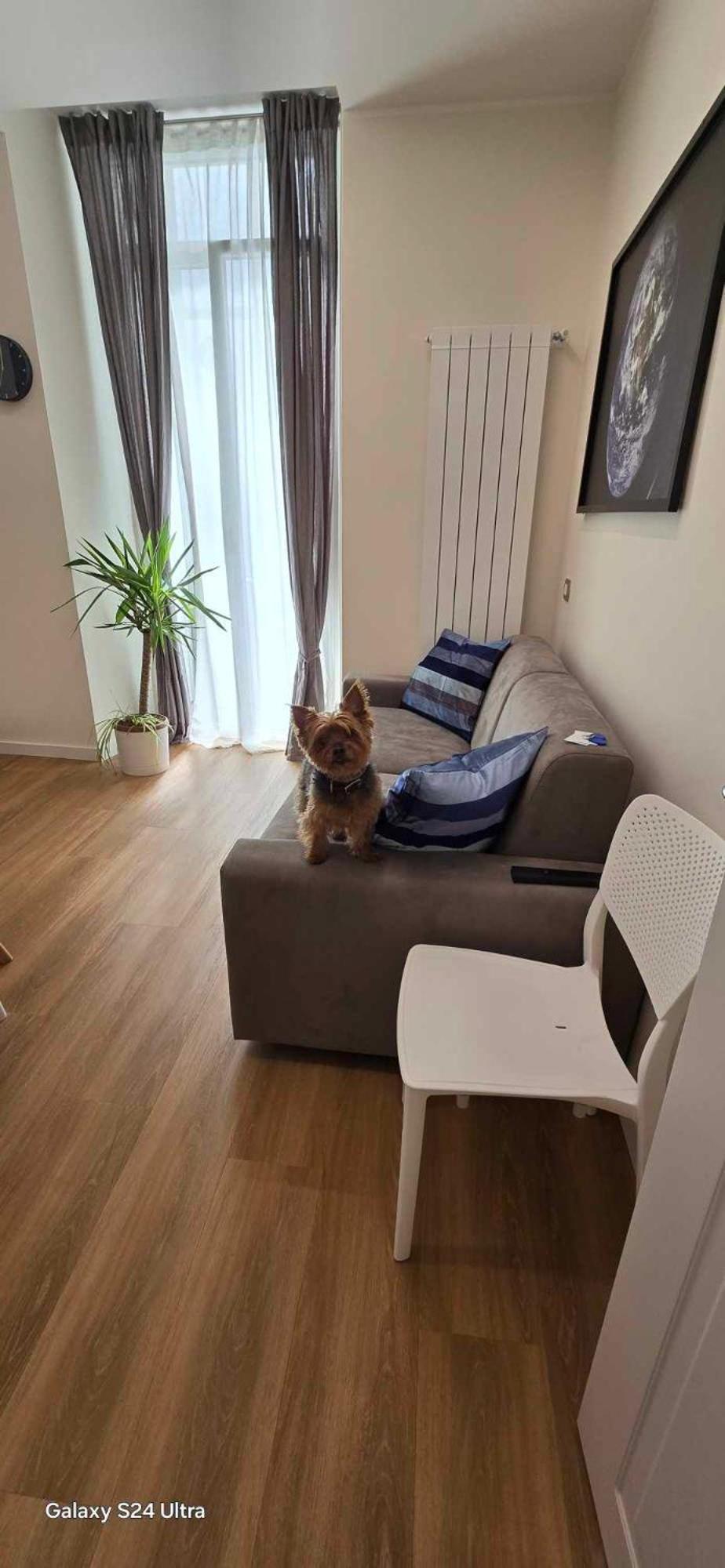 The Dream Apartment 100 M Dal Mare Savona Dış mekan fotoğraf